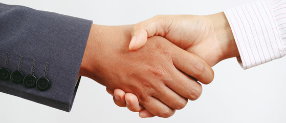 Wall Mural - Closeup of a business hand shake between two colleagues Plaid shirt