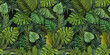 © Polina - Green seamless tropical wallpaper. Pattern with tropical leaves of monstera, palm, banana. Dark plant background. Great for fabric, wallpaper, paper design