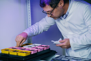 Male biochemist working in the lab on plants