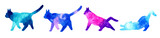 Fototapeta Dinusie - おしゃれな猫の手描き水彩イラストセット　伸びる・歩くポーズ　カラフルな動物のシルエット