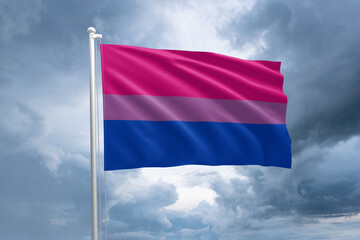 Wall Mural - LGBTQIA+ Bisexual pride flag. Bisexuality flag symbol in the lgbt community