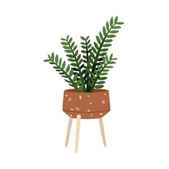 Wall Mural - Zamioculcas zamiifolia, potted house plant. Green-leaf houseplant growing in planter. Indoor foliage decoration in flowerpot. Natural decor. Flat vector illustration isolated on white background