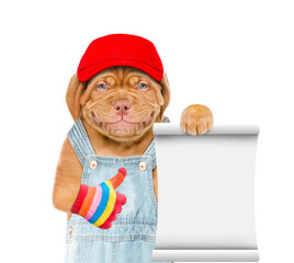 Poster - Puppy wearing red cap and overalls shows empty list and thumbs up gesture. Isolated on white background