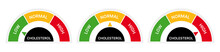 Cholesterol Gauge Control Collection. Low, Normal And High Cholesterol Symbol Vector Illustration.