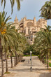 Palma de Mallorca cathedral. Balearic islands. Spanish cultural heritage. Landmark