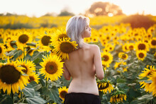 A Beautiful Young Woman With Bare Shoulders Smiles In A Sunflower Field. The Theme Of Cosmetology, Skin Care, Vacation And Relaxation In A Calm Atmosphere. View From The Back