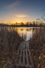 Wall Mural - beautiful autumn views of the forest and lake in Polish nature