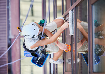 Wall Mural - Industrial mountaineering worker washing glass windows of high-rise building, hanging on safety climbing rope. Man window cleaner in protective helmet cleaning skyscraper facade. Top view.