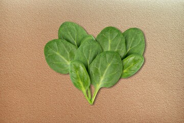 Wall Mural - Green heart on a background. Heart shape in fresh green spinach leaves. Valentine in eco-friendly vegan style.