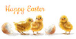 
Easter poster, card and banner template with Easter baby chicken on white background. Greetings and presents for Easter Day in art styling. Promotion and shopping template for Easter