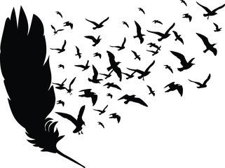 Wall Mural - Feathers With Birds Silhouettes Feathers With Birds SVG EPS PNG