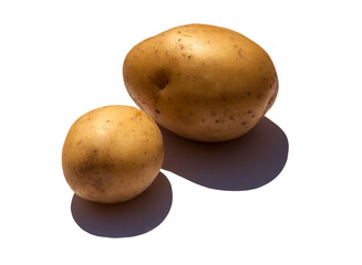 White potatoes isolated on white background composition flat lay with contrast light and sharp shadow