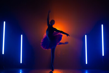 Wall Mural - Silhouette of ballerina is practicing elements in studio with neon colorful light. Young woman dancing in classic tutu dress. Gracefulness and tenderness in every movement.