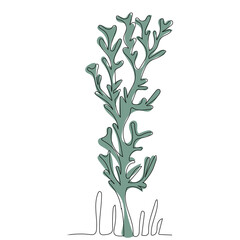 Wall Mural - algae drawing in one continuous line