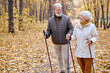 © Roman - Happy aged couple in love engaged in Nordic walking going in autumn nature park, forest. Concept of active elderly people during retirement. Everyday joy lifestyle without age limitation.