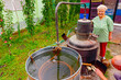 Woman is manually mixing fruit marc in distillation apparatus for making domestic alcohol liquor