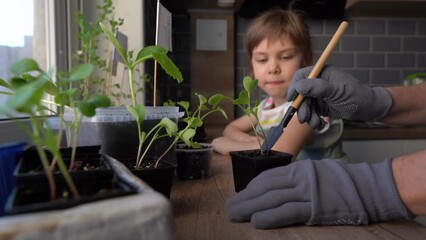 Wall Mural - Mother showing her daughter how to take care of plants