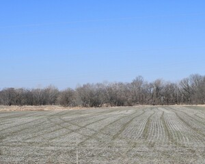 Wall Mural - Farmland