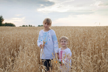 Little girls  in   embroidered shirt on   wheat field