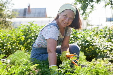 Poster - Senior woman sitting in plant of carrot