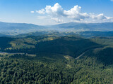 Fototapeta Do pokoju - Green mountains of Ukrainian Carpathians in summer. Sunny day. Aerial drone view.