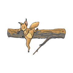 Wall Mural - squirrel jumping from a tree squirrel jumping from a tree, graphic hand drawing, brown,