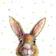 A poster for a children's bedroom with a cute bunny. Illustration for children with a colorful rabbit. Graphics for cards, posters, banners, Easter themed flyers.