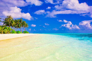 Wall Mural - Idyllic Beach with Palm Treesat the Maldives, Indian Ocean