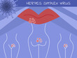© Kohyao - Herpes simplex virus (HSV)