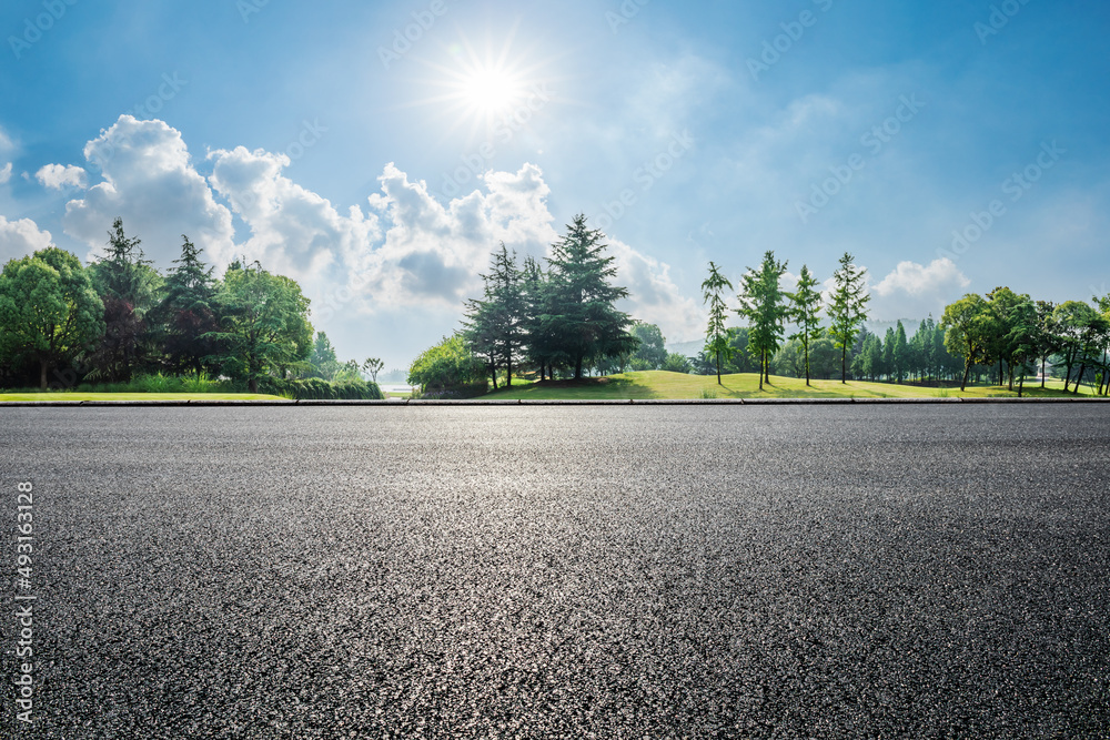 Asphalt road and green forest landscape on a sunny day Stock Photo ...