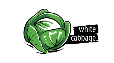 Wall Mural - Drawn cabbage isolated on a white background