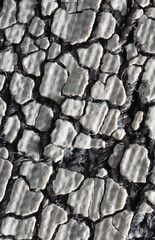 Wall Mural - Cracked white paint on fabric as an abstract background.