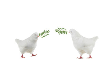 Sticker - two dove goes with a palm branch on a white