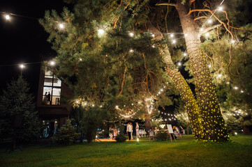 Decorative outdoor string lights hanging on tree in the garden at night time