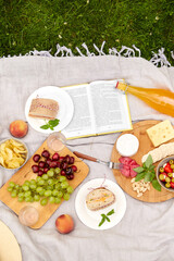 Wall Mural - leisure and eating concept - close up of food and drinks on picnic blanket at summer park