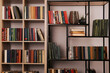 © New Africa - Collection of different books on shelves in home library