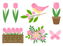Spring Flowers Tulips Pink Birds Vector Illustration