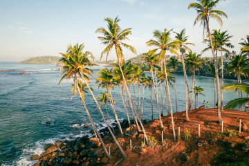 Canvas Print - Coconut tree hill in Mirissa Beach. Sri Lanka.