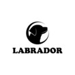 Labrador retriever dog head in circle