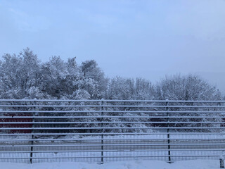 Poster - Fence in the snow