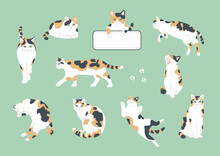 A Set Of Cute Cats In The Style Of Handwritten Illustrations. Flat Color Simple Style Design.
