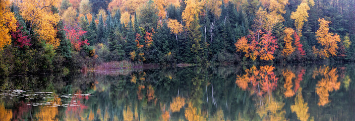 panorama spectacular fall color scene alongside a lake with reflections in the water. brilliant oran