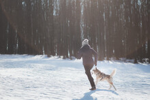 Siberian Husky Dog Running In The Snow In Winter With Young Woman Owner