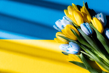 Wall Mural - Top view of bouquet of blue and yellow tulips on ukrainian flag with shadow.