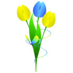 Wall Mural - Yellow and blue tulips with a butterfly on a white background.