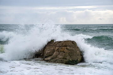 Canvas Print - Port blanc