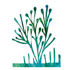 Wall Mural - green algae watercolor silhouette isolated vector