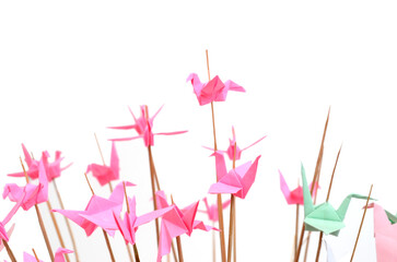 Wall Mural - Origami birds flying with bamboo sticks white background
