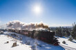 canvas print picture - Brockenbahn historische Dampflokomotive mit viel Dampf im Winter in den Bergen mit verschneiten Bäumen 