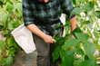 © Cara Brostrom/Stocksy - Farmer with Harvest Bag